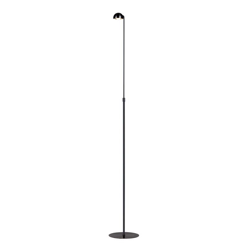 Horoscope-Reading Floor Lamp